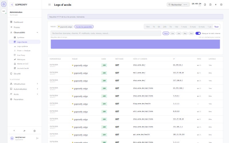 GoProxify Admin — Access logs